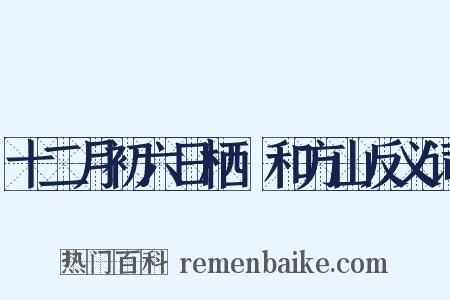 十二月初六日栖嬾和方山反义词是什么意思的图片